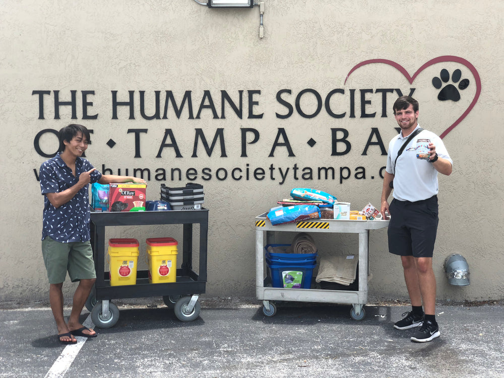 Donating pet supplies to the Humane Society of Tampa Bay